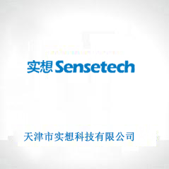 天津市實(shí)想科技有限公司