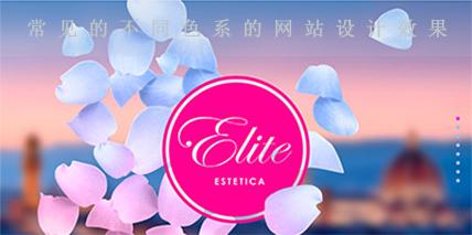 常見的不同色系的網(wǎng)站設(shè)計(jì)效果